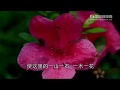 channel