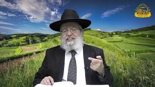 דף היומי בחצי שעה - קידושין דף מ"ה