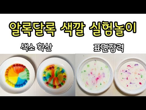 [엄마표놀이] 쉽고 재미있는 과학실험 - m&m초콜릿 색소확산, 우유 마블링