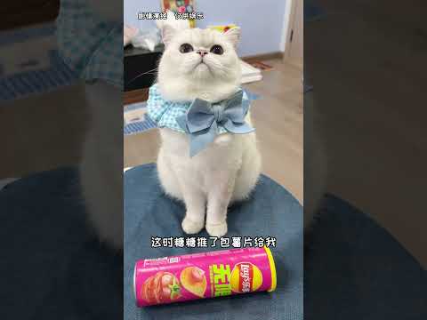 【白糖糖的日常】我家貓居然用吃剩的薯片做壽司？！
