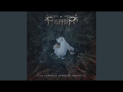 Y la herida se cerró de cansancio