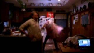 One Cody Simpson Official music video