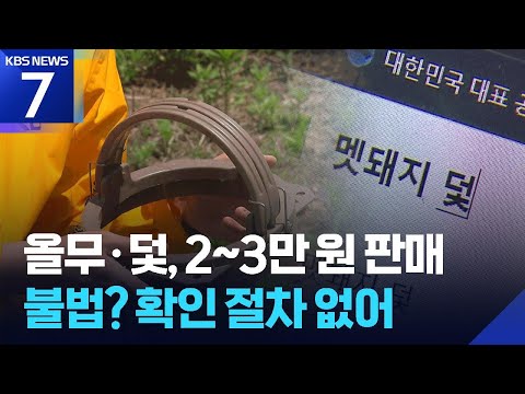 ‘이유 있는’ 불법 엽구 기승…인터넷에서 ‘아무나 구매’ / KBS 2026.06.16.