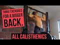 THREE CALISTHENIC EXERCISES FOR A BIGGER BACK | FULL PULL WORKOUT FOR STRENGTH AND MUSCLE MASS