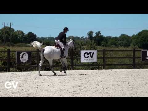 Jump de Talma ALLURES