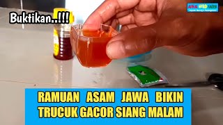 Download lagu TRUCUKAN birds are wild, they will sing GACOR with this INGREDIENT mp3 Download lagu TRUCUKAN birds are wild, they will sing GACOR with this INGREDIENT mp3