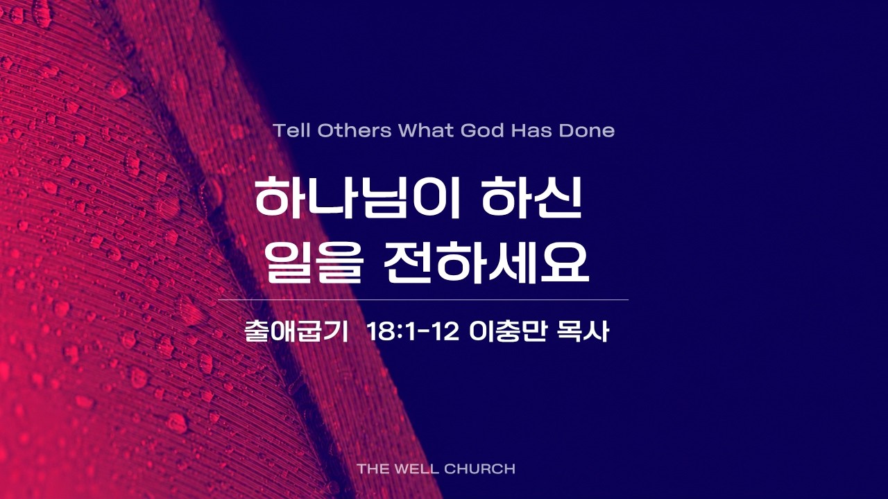 수요설교영상 썸네일