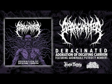 DERACINATED - ADORATION OF DECAYING CARRION [DEBUT SINGLE] (2017) SW EXCLUSIVE