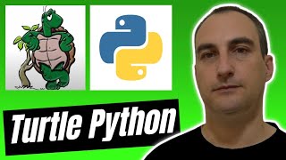 Python Turtle - 12 - Turtle Race - Automatic Winner Detection