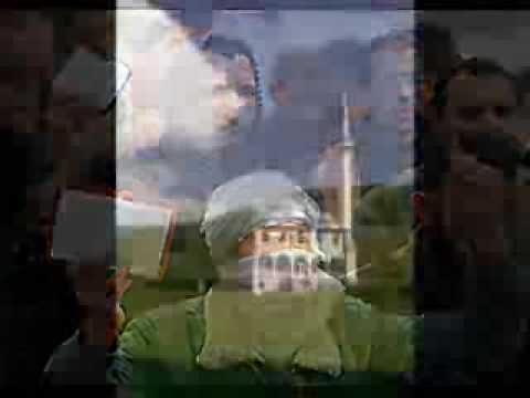 Bekir Halimi Shoku i mir