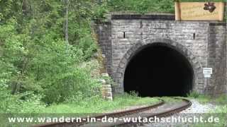 preview picture of video 'BR 86 333 mit dem Museumszug durch den Schwarzwald'