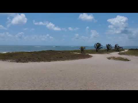 #praia #trincheira#praias#baia da traição #paraiba #nordeste #brasil 
