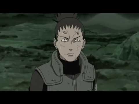 until we go down - amv