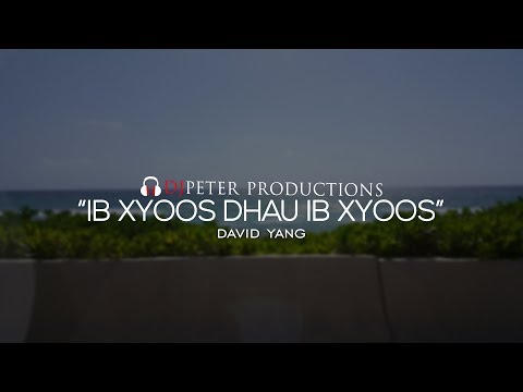 David Yang - Ib Xyoos Dhau Ib Xyoos (DJPeter Remix)