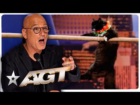 WILDEST Animal Auditions EVER on America's Got Talent!