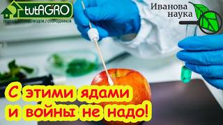 САМЫЕ ОПАСНЫЕ ЯДЫ на Wildberries и Ozon. Легальные и нелегальные убийцы. Нашел самые 
