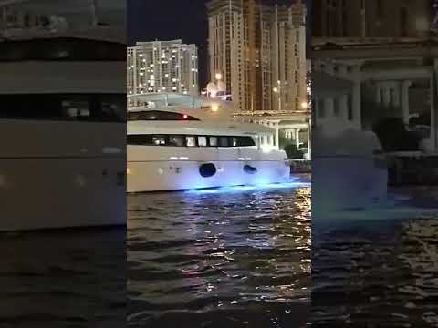 Miami Live Short Video #4378