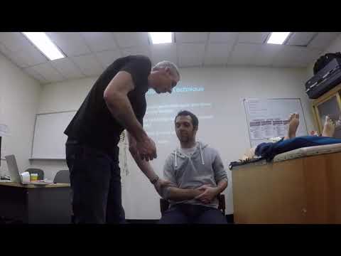 Posterior Dislocation