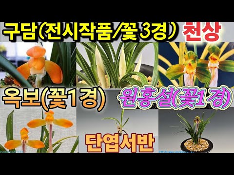 유튜브 썸네일