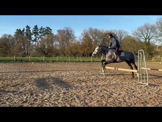 Katia jument 5 ans de C.S.O - Finaliste Fontainebleau