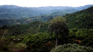 preview picture of video 'Coffee Travel: Hacienda La Minita, Costa Rica'