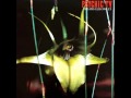 Psychic TV Black Moon