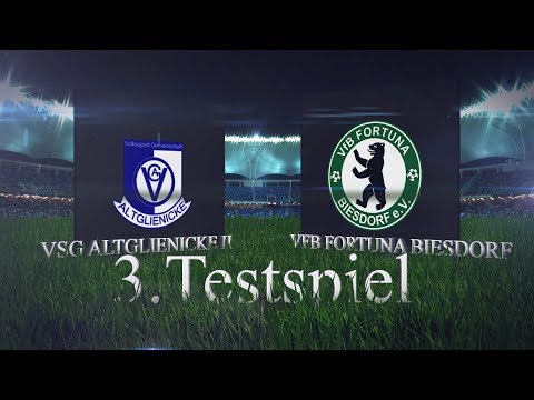 [3.Testspiel 19.1.2019] VSG Altglienicke II - VfB Fortuna Biesdorf