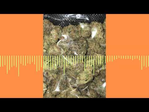 G.FiT x Keanu Type Beat "Macher" | 135bpm | Trap Instrumental