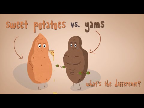 What's the Difference Between Sweet Potatoes & Yams?