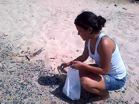 Limpiando la playa