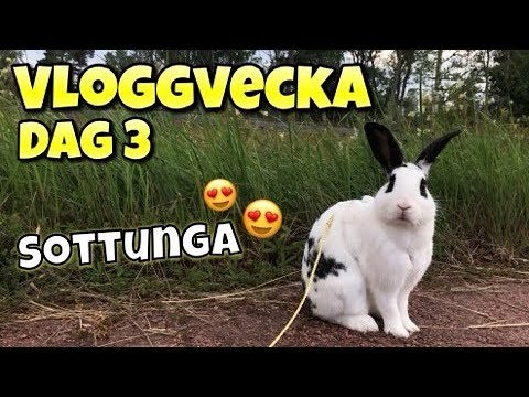 Vloggvecka dag 3~ Åker till Sottunga