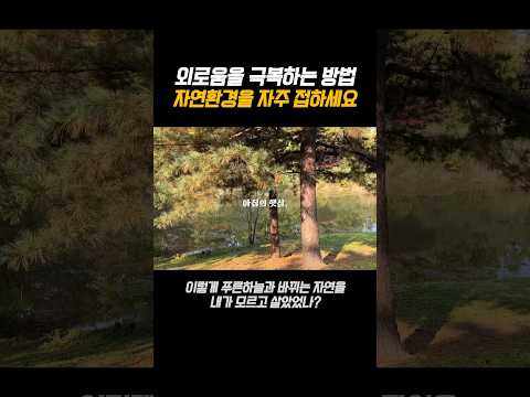 외로움을 극복하는 방법 #자전거 #라이딩