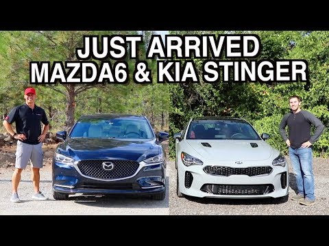 Which One: 2019 Mazda6 & 2019 Kia Stinger on Everyman Driver