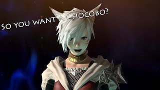 Final Fantasy XIV *New Player Guide* How to get your Chocobo Mount!