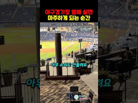 야구경기장 옆에 살면 마주하게 되는 순간