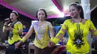 Download lagu GEDE ROSO GEDE DOWO - AJENG MAHARANI - CS AREVA MUSIK - LIVE KANCU POLOKARTO mp3