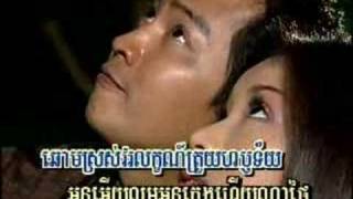ផ្កាយកូនមាន់
