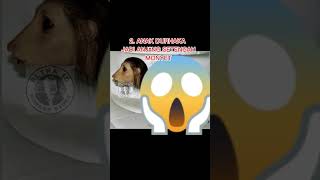 Download lagu VIDEO ANAK DURHAKA YANG VIRAL PADA TAHUN 2000AN #kisahnyata #horrorstories #HORROR mp3