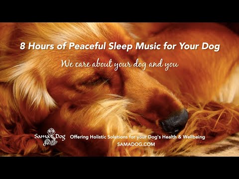 8 Hours of Peaceful, Relaxing, Deep Sleep music for Dogs. Dog Meditation, Stress and Anxiety Relief
