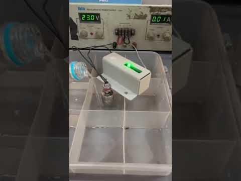 Final Inspection Service