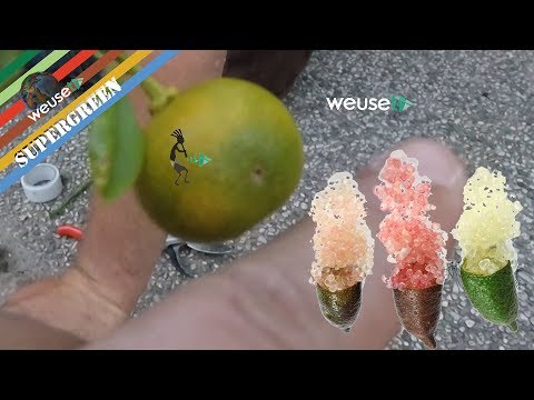 Togliere pigmentary nota la vitamina A La crema con una placenta per candeggiare di pelle ed eliminazione di rughe di cai mai