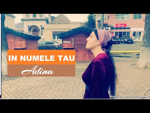 IN NUMELE  TAU  //  SORA ADINA