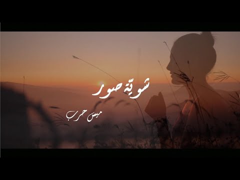 شوية صور ميس حرب