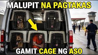 ANG MALUPIT na PAGTAKAS ng ISANG PRESO sa AMERICA GAMIT KULUNGAN ng ASO