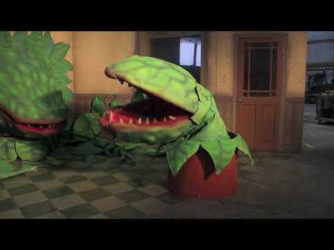 download lagu mp3 mp4 Little Shop Of Horrors Audrey 2 Hire, download lagu Little Shop Of Horrors Audrey 2 Hire gratis, unduh video klip Little Shop Of Horrors Audrey 2 Hire