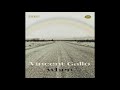 Vincent Gallo -  Apple Girl