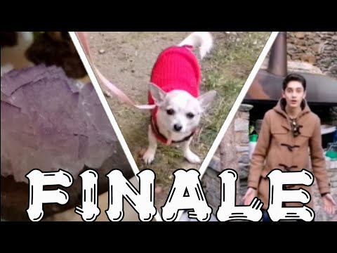 IL MIO AMICO È UNA SCHIAPPA EP. 10 - LA RESA DEI CONTI