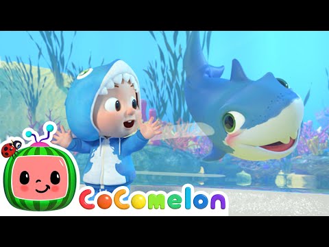 Baby Shark! | CoComelon Nursery Rhymes