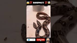 Respect 💯🤯🔥