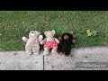 Teddy Bear And Friends Magical Event Animal Parade
